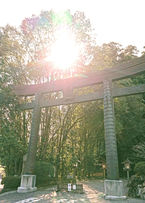 Nex2rld. | 未来へのドア - 西日本ローカル旅 第09話「高千穂神社→高千穂峡」 - 高千穂神社01