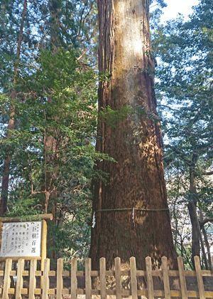 Nex2rld. | 未来へのドア - 西日本ローカル旅 第09話「高千穂神社→高千穂峡」 - 高千穂神社04