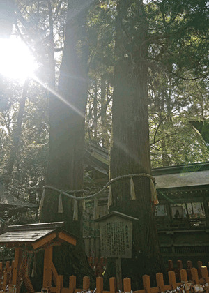 Nex2rld. | 未来へのドア - 西日本ローカル旅 第09話「高千穂神社→高千穂峡」 - 高千穂神社05