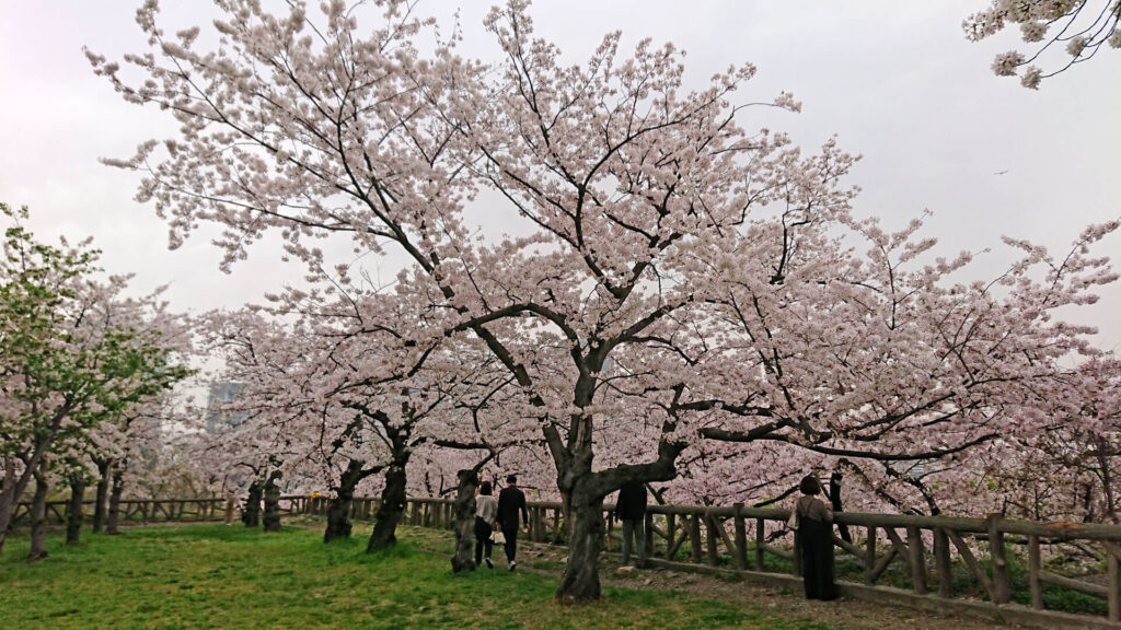 Nex2rld. | 未来へのドア - 西日本ローカル旅 第19話「大阪2」 - 大阪城公園